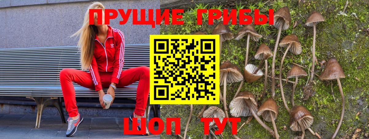 Галлюциногенные грибы мицелий Кушва